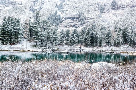 Turquoise Surface Of The Mountain Lake Winter Fabulous Forest Lake Snow