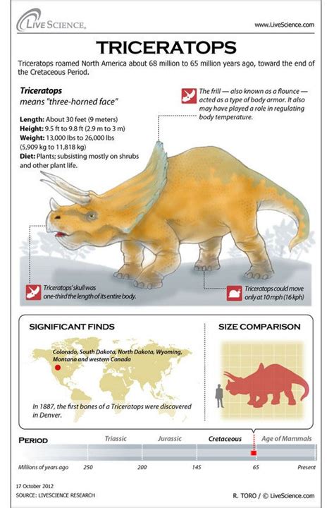 Triceratops Facts About The Three Horned Dinosaur Dinosaur Facts