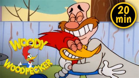 Woody And Wally Become Friends 3 Full Episodes Woody Woodpecker