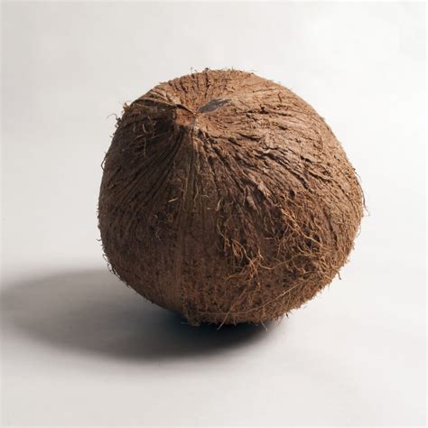 Free Images Food Produce Coconut Arecaceae Cocosmercias Flavor Edible Mushroom