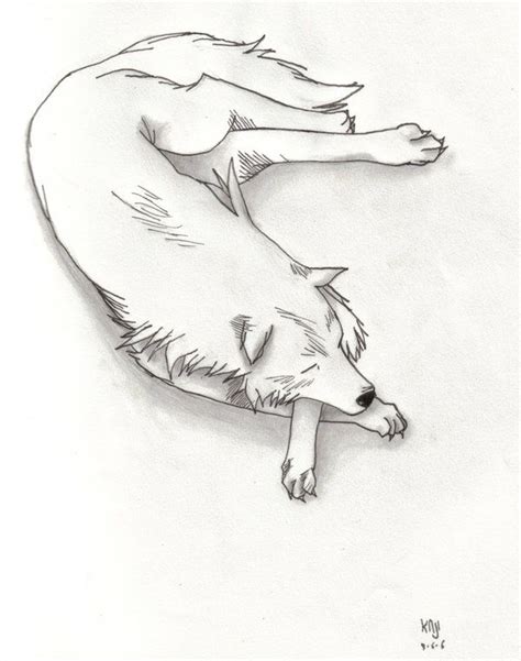 Wolf Sleeping Wolf Sketch Wolf Illustration Wolf Drawing