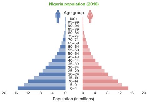 Expansive Population Pyramid