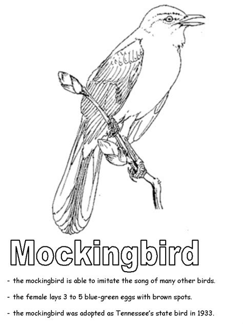 Ohio State Bird Coloring Page
