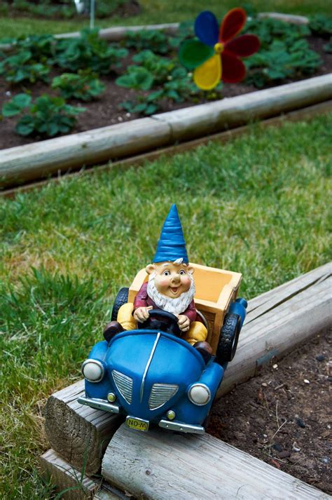 Album Archive Gnome Garden Gnomes Gnome Sweet Gnome