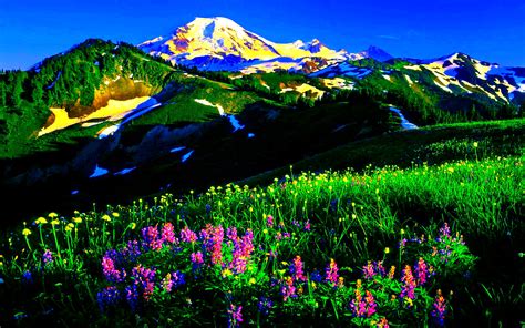 Dream Spring 2012 Mountain Spring Wallpapers Hd