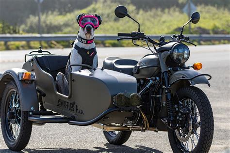 Motorcycle sidecars are still a niche part of the motorcycle community with only one manufacturer producing a motorcycle with a sidecar out of the the short answer is yes, you can put a sidecar on any motorcycle. New Machine Suggestion: Papa Road - New items and ...