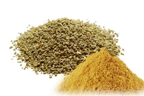 China Celery Seed Powder Manufacturers And Suppliers Wholesale Price