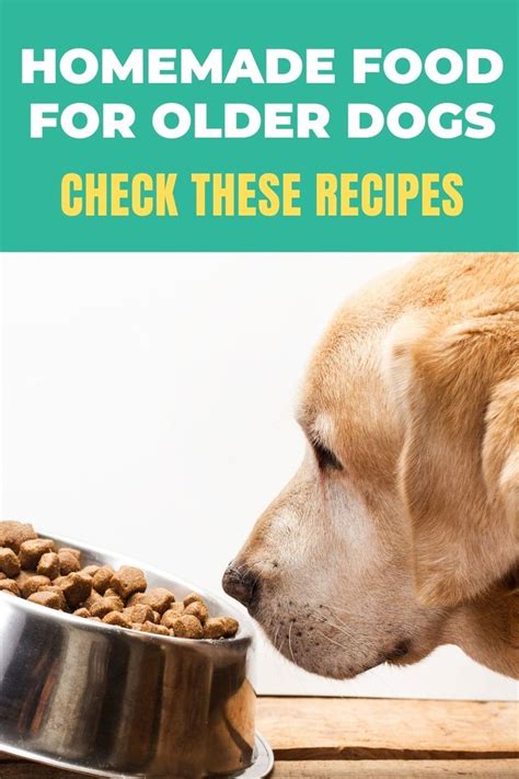 Home Made Dog Food For Older Dogs Home And Garden Reference