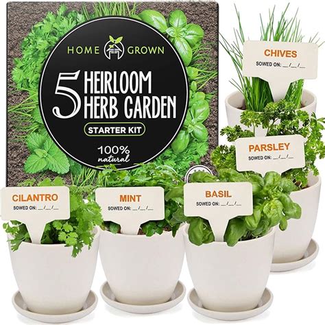 Indoor Herb Garden Starter Kit 5 Herb Plant Grow Kit W