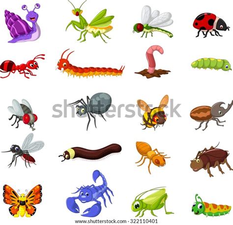 Collection Insects Cartoon You Design Stock Vector Royalty Free