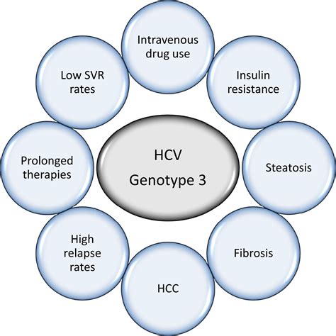 Hepatitis C Virus Gastroenterology Clinics