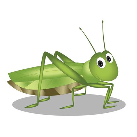 Grasshopper Clip Art Pictures Illustrations Royalty Free Vector
