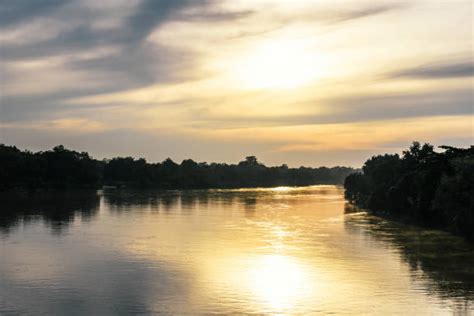Luangwa River Stock Photos Pictures And Royalty Free Images Istock