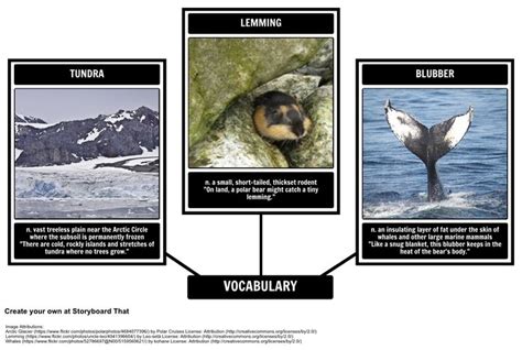 Where Do Polar Bears Live By Sarah Thomson Visual Vocabulary Board