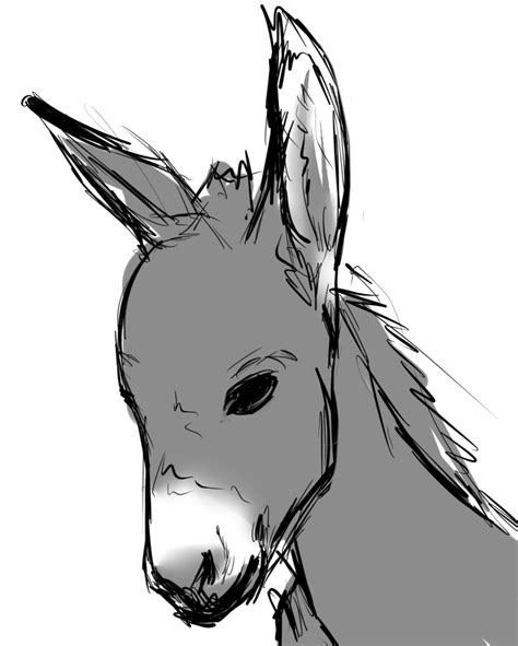 Simple Donkey Drawing Free Download On Clipartmag