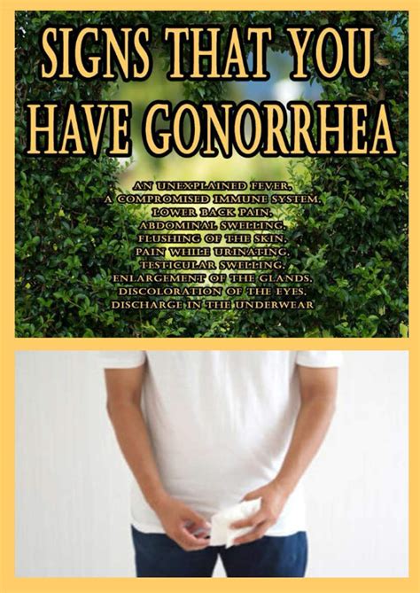 Buy Signs That You Have Gonorrhea An Unexplained Fever A Compromised