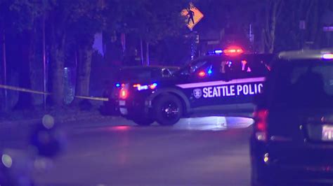 Seattle fatal shooting in South Park under investigation | king5.com