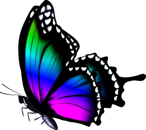 Download Hd Blue Butterfly Flying Png Download Picsar