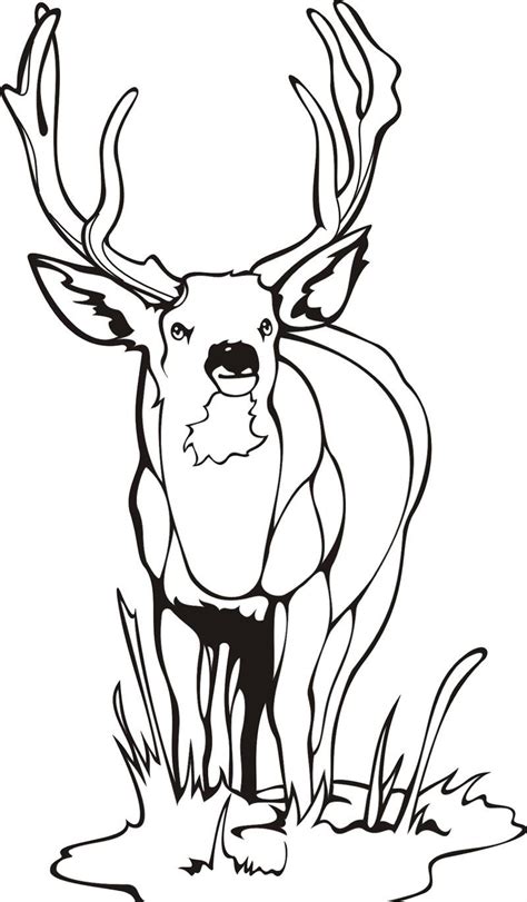 There's no better cure for cabin fever than printing and coloring our free coloring pages for kids. Free Printable Deer Coloring Pages For Kids