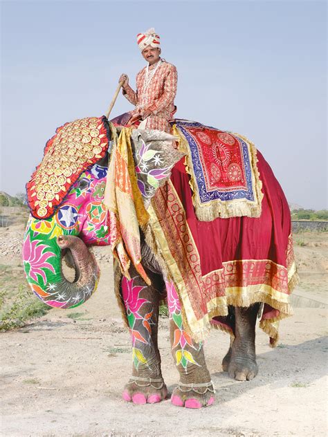 El Desfile De Los Elefantes Pintados De India Passport Travel Magazine