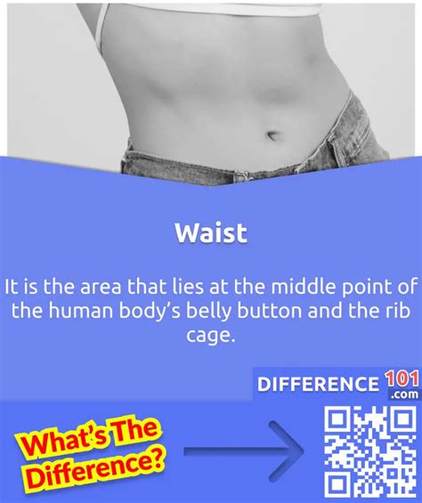 Hips Vs Waist 5 Key Differences And Examples To Know Difference 101