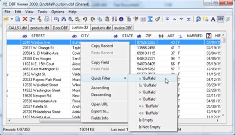 Dbf Viewer Dbf Editor E Software Di Gestione Dei File Dbf