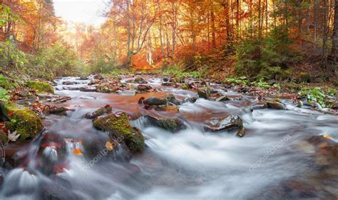 Autumn Forest Mountain Stream Beautiful Rocks Covered