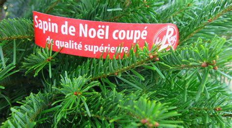 Des Sapins De Noël Certifiés Label Rouge Ministère De Lagriculture