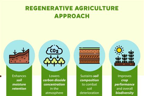 What Is Regenerative Agriculture Regenerative Agriculture 101