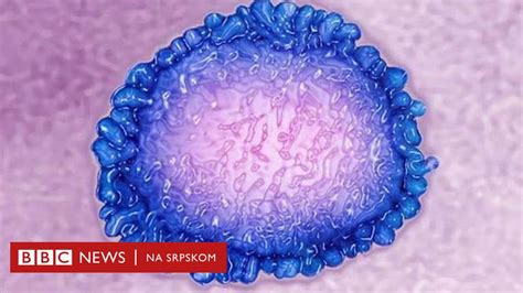 Korona Virus Šta Je Pandemija Bbc News Na Srpskom