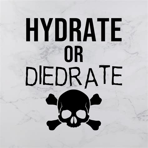 Hydrate Or Diedrate Vinyl Decal Tumbler Decal Car Decal Etsy