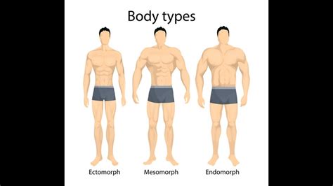 Know Your Body Type Ectomorph Endomorph Mesomorph Youtube