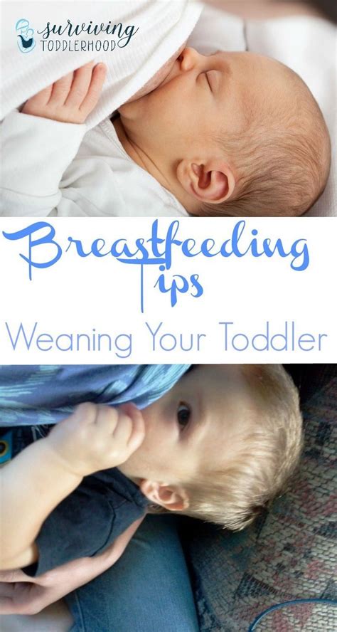 How To Wean A Breastfeeding Toddler Artofit
