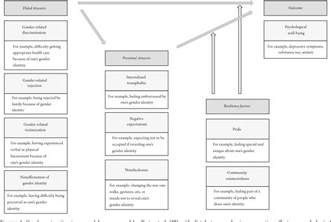 Figure 1 From Gender Minority Stress And Depressive Symptoms In Transitioned Swiss Transpersons