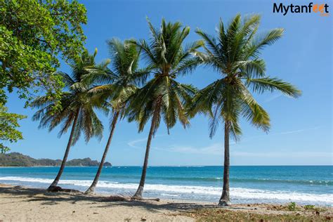 Playa Carrillo The Unspoiled Crescent Beach Beach Costa Rica Beaches Most Beautiful Beaches