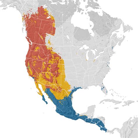 Western Tanager Range Map Ebird Status And Trends