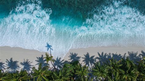 Download 3840x2160 Beautiful Beach Aerial View Palm Trees Sea 4k