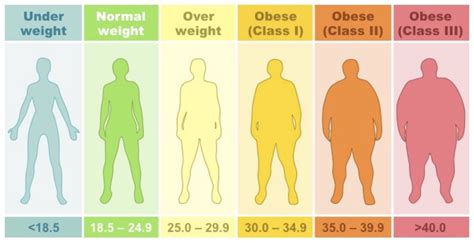 Body Mass Index BJISG