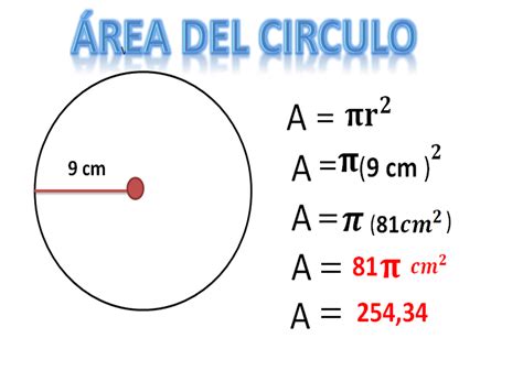 Calcula El Rea Y El Per Metro Del C Rculo Y Traza Los C Rculos Fe