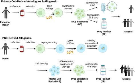 A Risk Based Approach For Cell Line Development Manufacturing And