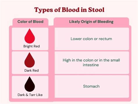 Blood In Stool All You Need To Know