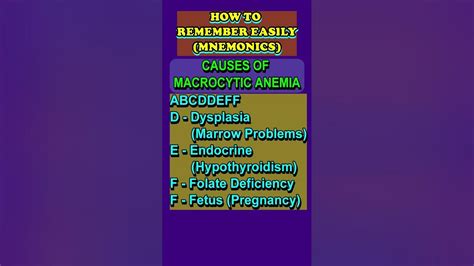 Causes Of Macrocytic Anemia Mnemonic Youtube