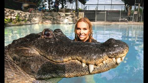 Swimming With Alligators Youtube In 2020 Alligator Swimming