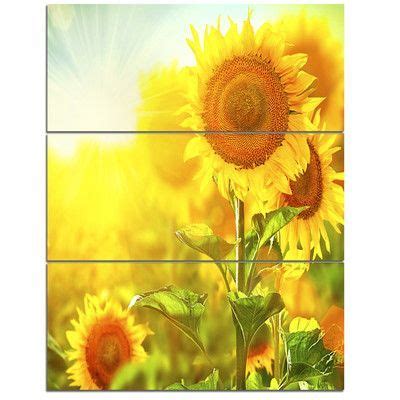 Designart Bright Sunflowers Blooming On Field Piece Photographic