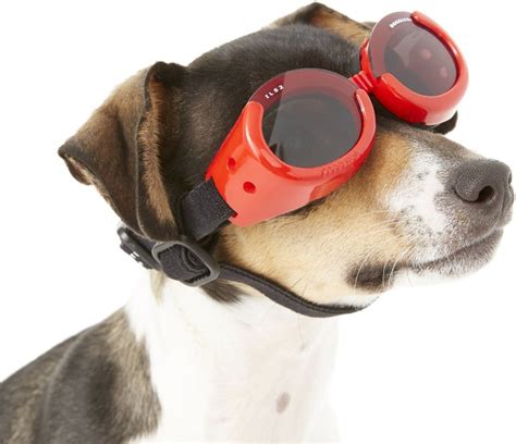 Doggles Ils Dog Goggles Red X Small