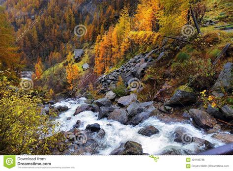 Yellow Larch And Waterfalls Stock Photo Image Of Alps Larch 101186786