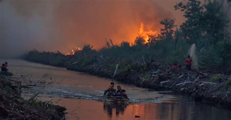 Sejarah Kebakaran Hutan Lahan Di Indonesia Terparah Tahun My XXX Hot Girl