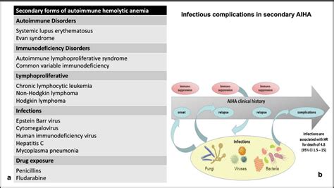 Secondary Forms Of Aiha 5 A Infectious Complications In Secondary