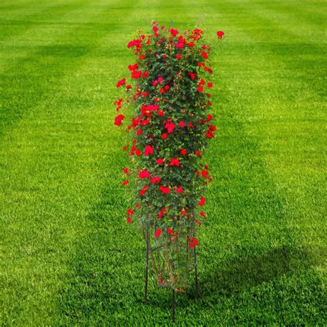 Tuteur En Colonne Pour Rosier Et Autre Plante Grimpante En Métal