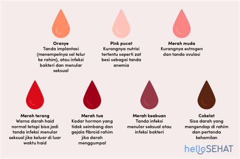 Darah Haid Warna Coklat Tanda Hamil Sebilangan Wanita Akan Mengalami